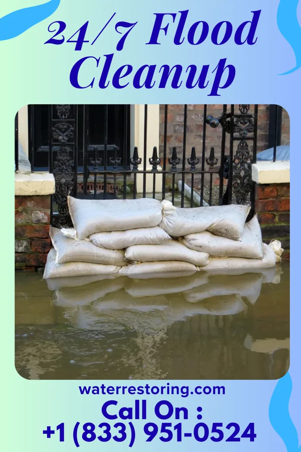 24/7 Flood Cleanup in Reading, MI