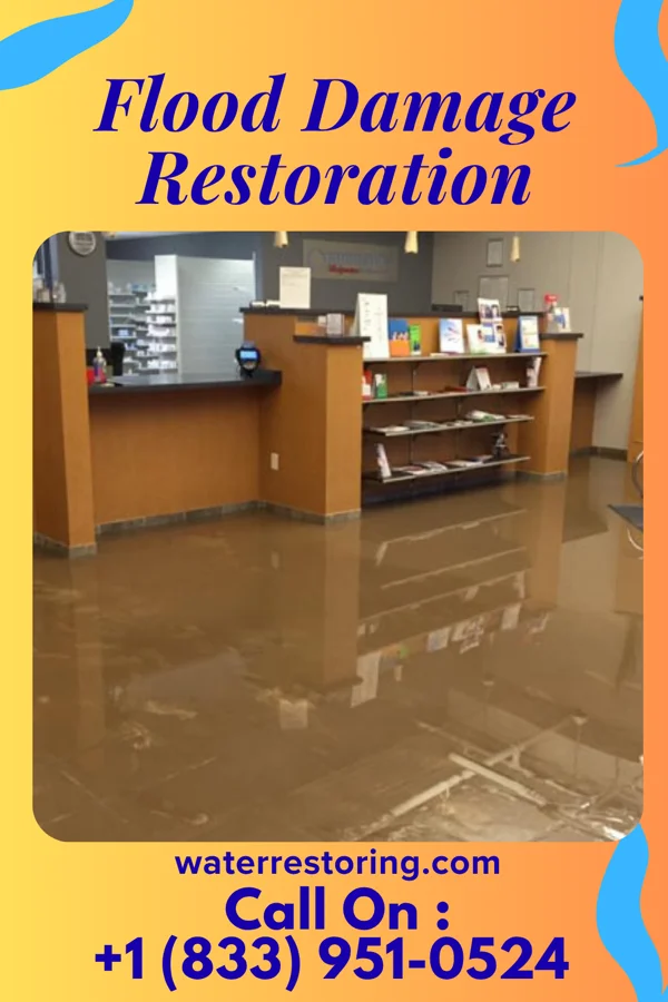 Flood Damage Restoration in Reading, MI