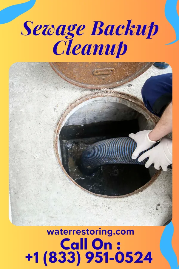 Sewage Backup Cleanup in Reading, MI