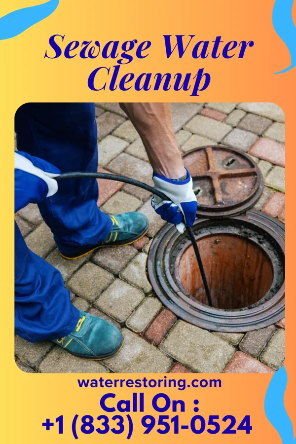 Sewage Water Cleanup in Reading, MI