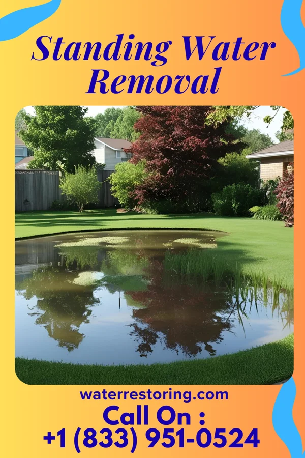 Standing Water Removal in Reading, MI